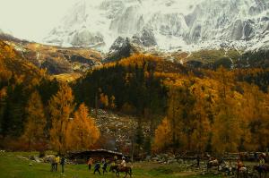 Siguniang Mountain